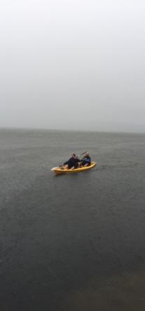 Kayaking - Bay of Plenty