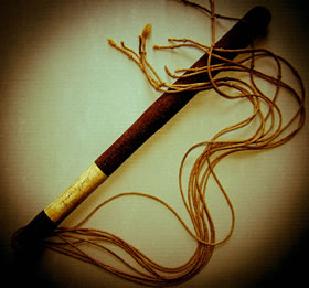 Photo of Cat-o-nine-tails