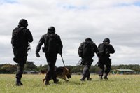 Back-view of four armed offender squad members, and a Police dog walking across a field. 