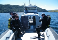 Divers preparing their gear to dive off a boat.