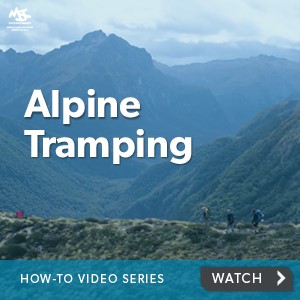 Alpine tramping