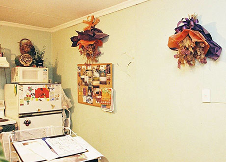 Tuitania's kitchen with head height crack in wall