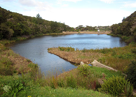 Ross Creek Reservoir near Tuitania Barclay’s home in Dunedin.