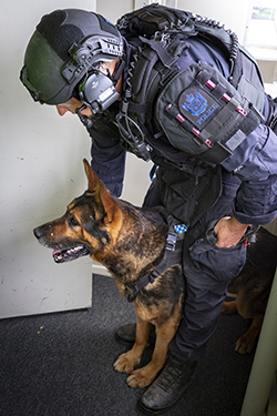 Gill poised for action on a recent AOS training day. Photo: Constable Seaton McGuigan.