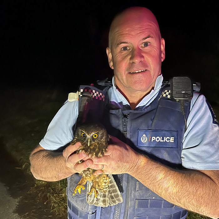 Senior Constable Pat O'Leary with a ruru that was rescued from the road during the operation.