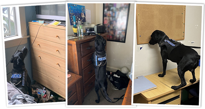 Three images showing Floyd at work.