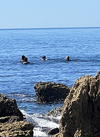 Police National Dive Squad searching where the bones were discovered.