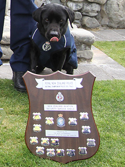 Zak keeps his eye on the prize after winning the Detector Dog National Championships in 2019.