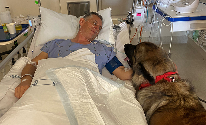 Ian with a therapy dog in High Dependency Unit at Waikato Hospital. 