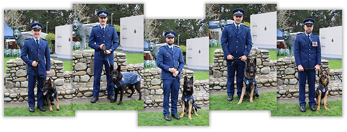 From left: Constables Jarom Brouwer and Tahi; Mike Limbrick and Ryka; Andrew Lomax and Aero; Connor Loomans and Ruki, and Jordie Walker and Acure.
