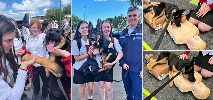 Composite images of photos of police puppy Iha at the Expo day.