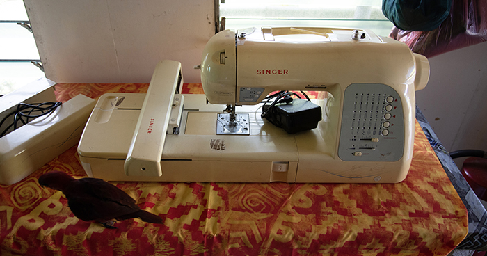 The Singer Futura embroidery machine that began it all - with Nibbles the parrot in attendance.