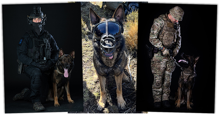 Photo composite of Oden and his handler Constable Casey.