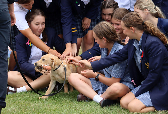 Trainee detector dog Paddy lapped up all the attention from the students.