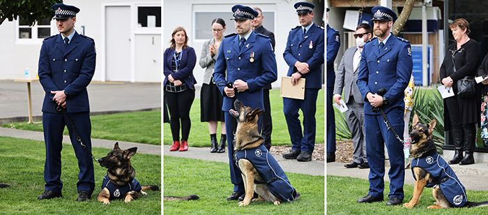 Constable Jordan Steegh and Manaia, Constable Will Sams and Vako, and Senior Constable Tony Willetts and Acure.