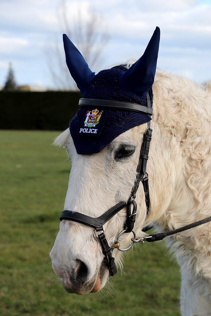 Barney modelling his ear bonnets.