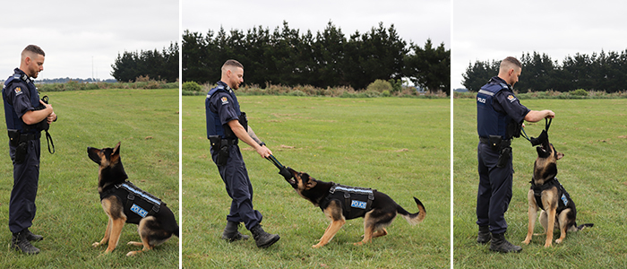 Josh training with Lenix