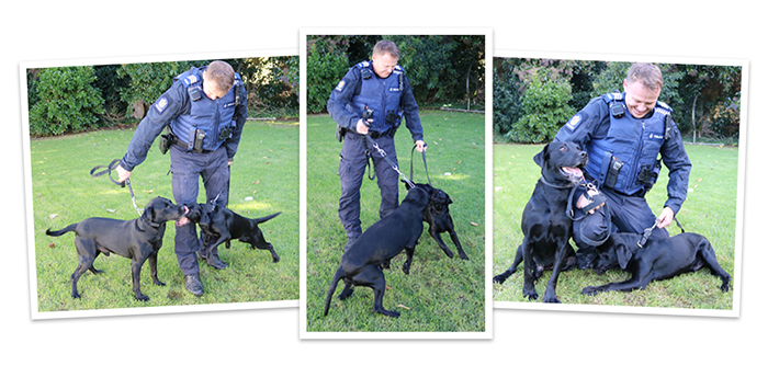 Floyd and Mav having fun on the job.