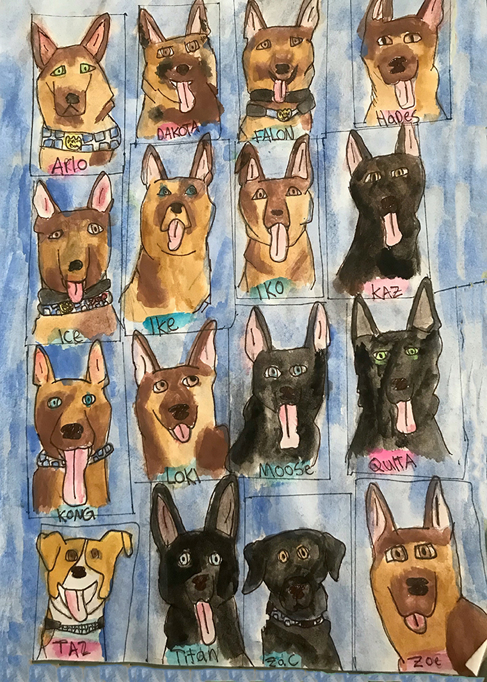 Helaina Hargreaves's painting of Wellington's Class of 2017 police dogs 
