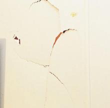 Crack in kitchen wall