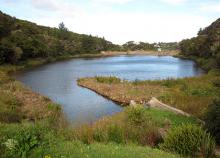 Ross Creek Reservoir near Tuitania Barclay’s home in Dunedin.