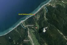 Did you hear a gunshot in the Kakapotahi area on or around 18 December 1998?