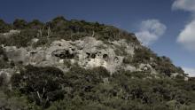 Limestone caves in Trotters Gorge