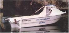 1991 Seaforce Utility 4.9m