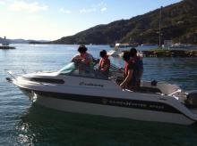 Haines Hunter 535