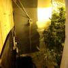 Police shut down Porirua drug dealing op