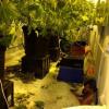 Police shut down Porirua drug dealing op