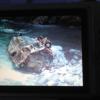 Canadian tourists' wrecked van chassis