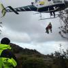 A specialist search dog airlifted on to Mt Pirongia in September