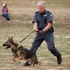 Police dog