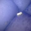A small packet of methamphetamine found in the back of a sofa