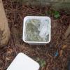 On inspection it was found to contain pre-packaged bags of cannabis