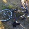 Rolleston hit and run cyclist v car