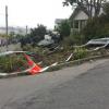 scene of crash on Cave Tce