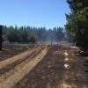 scene of Wild Road fire
