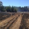 scene of Wild Road fire