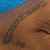 This tattoo is on the dead man's hand.