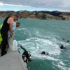 NZ Police divers leave the surface to start searching for missing diver