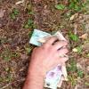 Cash the offender was still clutching as he was arrested
