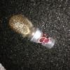 The hedgehog that Andrew rescued