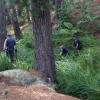 Police search a bush area close to the scene of Friday's fatal shooting