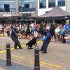 dog show
