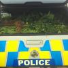 Boot-iful; some of the drugs headed for destruction by Police