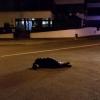 This man was found asleep in the middle of a road in central Napier.road.