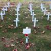 The Field of Remembrance established by the students