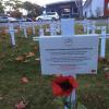 Remembering the fallen